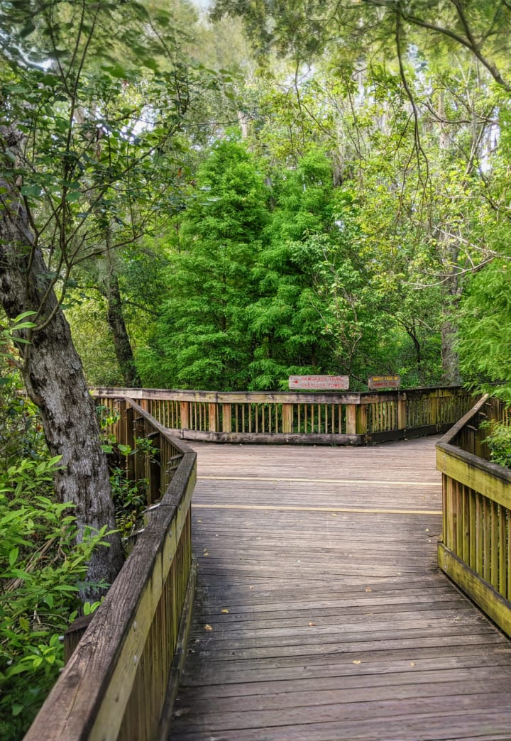 Sawgrass Lake Park